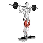 Zancadas posterior con barra