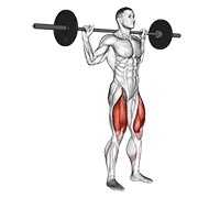 Zancadas posterior con barra