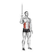 Abdominales lateral en polea