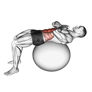 Abdominales
