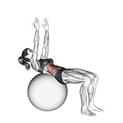 Abdominales