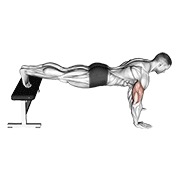 Flexiones declinado