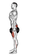 Zancadas posterior con mancuernas