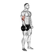 Curl inverso de pie a un brazo con mancuernas