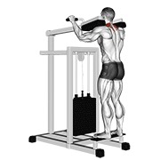 lever gripless shrug