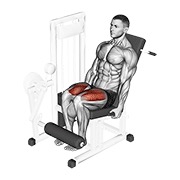 Extensión de piernas en máquina