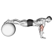Flexiones