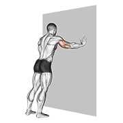 Flexiones
