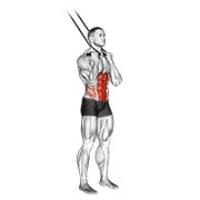 Abdominales de pie con banda