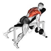 Remo para deltoides posterior acostado con mancuernas