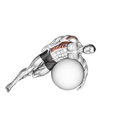 Estiramiento acostado lateral dorsal en pelota de estabilidad