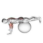 Elevación de piernas prono en pelota de estabilidad