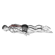 Curl lumbar