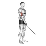 Curl a un brazo inverso en polea