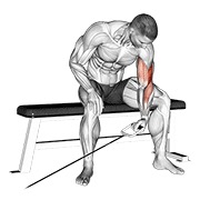 Curl concentrado a un brazo sentado en polea