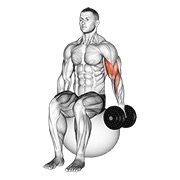Curl de bíceps en pelota de estabilidad a un brazo sentado con mancuernas