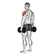 Elevación de deltoides posterior con mancuernas