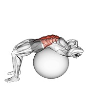 Abdominales en pelota de estabilidad