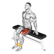 Extensión de piernas con banda
