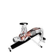 Abdominales completos declinado con peso