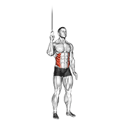 Abdominales lateral en polea
