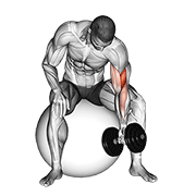 Curl concentrado a un brazo con mancuernas