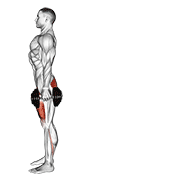 Zancadas posterior con mancuernas