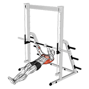 inverted row