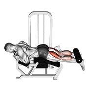 Curl femoral acostado en máquina