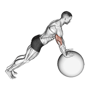 Flexiones