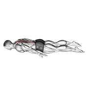Curl lumbar