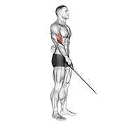 Curl a un brazo inverso en polea