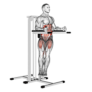 twisted leg raise