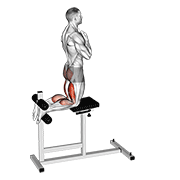glute-ham raise